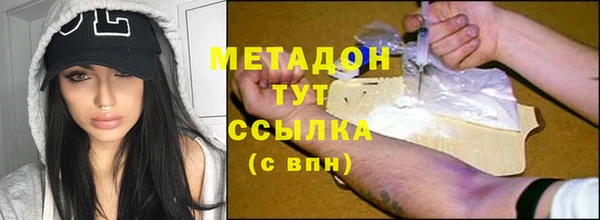 прущие грибы Костерёво