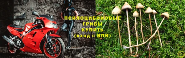 бошки Краснотурьинск