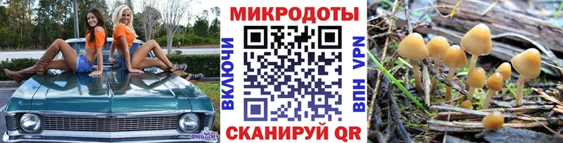 Купить закладки  Данков  Псилоцибиновые грибы Psilocybine cubensis 